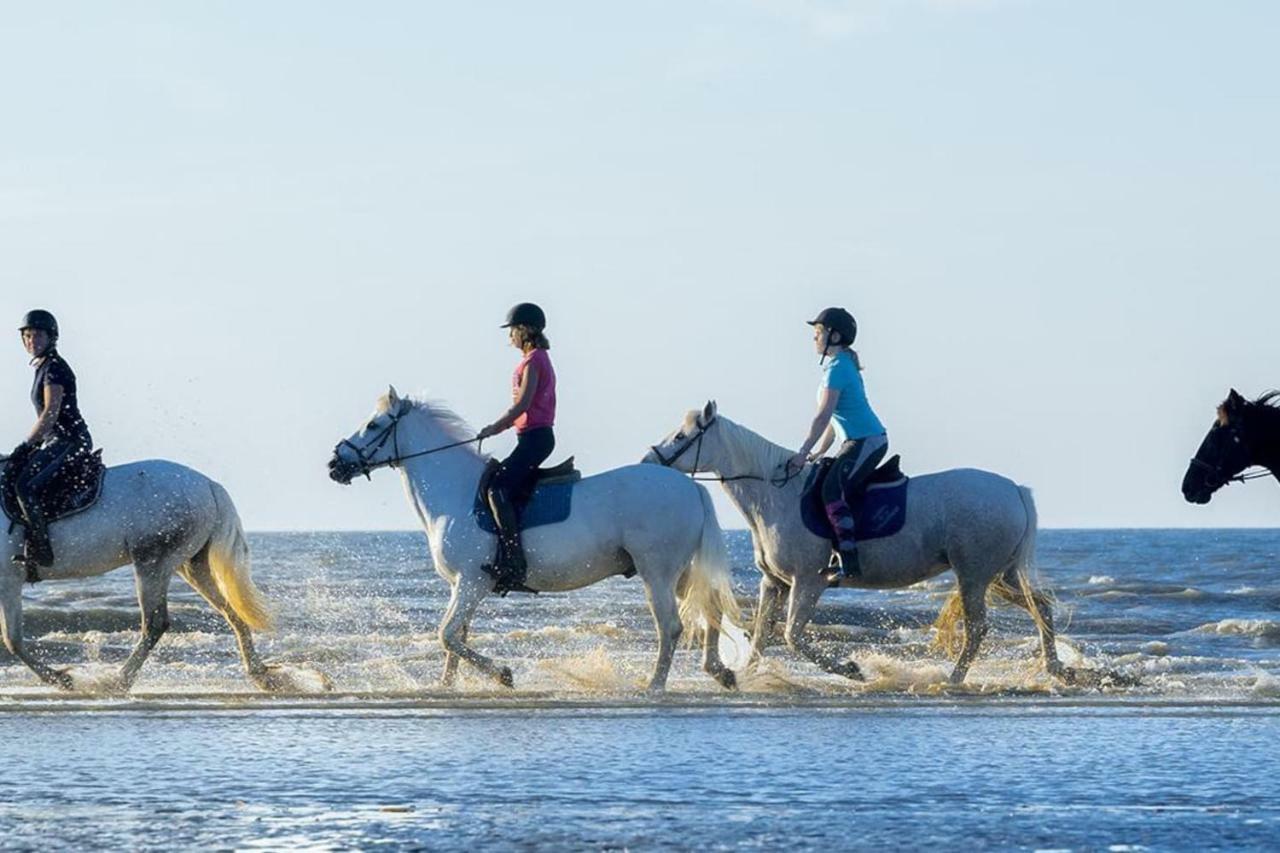 Charmant 2 Pieces A 500 M Des Plages Et Du Centre Cabourg Zewnętrze zdjęcie